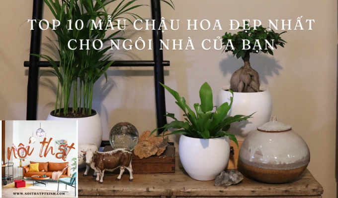 Top 10 mẫu chậu hoa đẹp nhất cho ngôi nhà của bạn