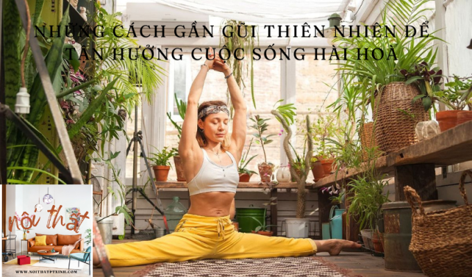 Những cách gần gũi thiên nhiên để tận hưởng cuộc sống hài hoà